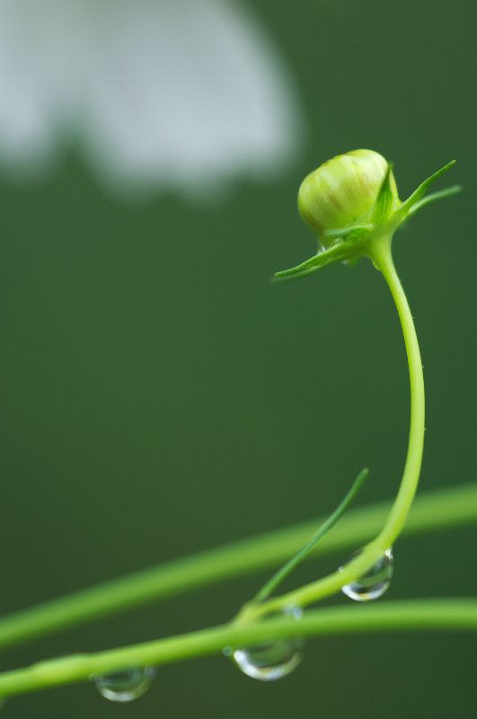难得一见的极品美景 - 风的模样 - 风的模样的博客