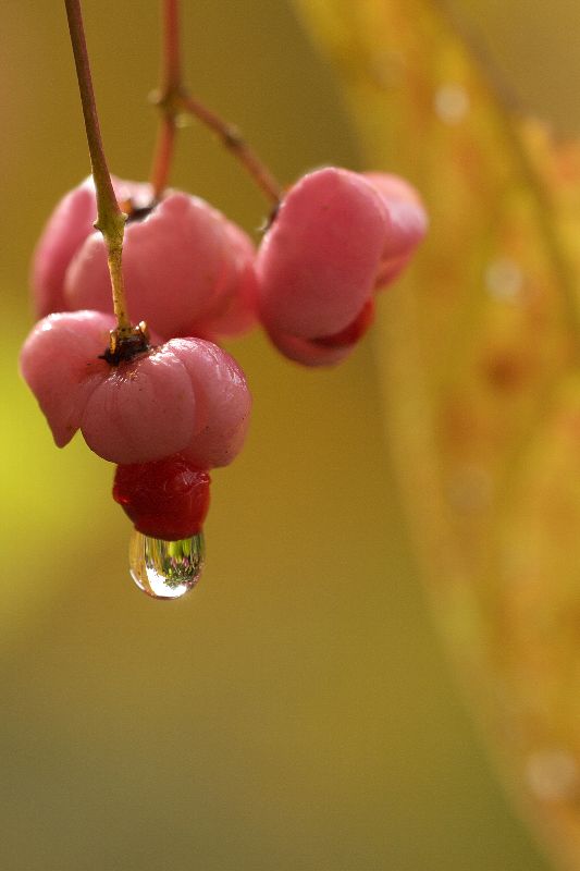 难得一见的极品美景 - 风的模样 - 风的模样的博客