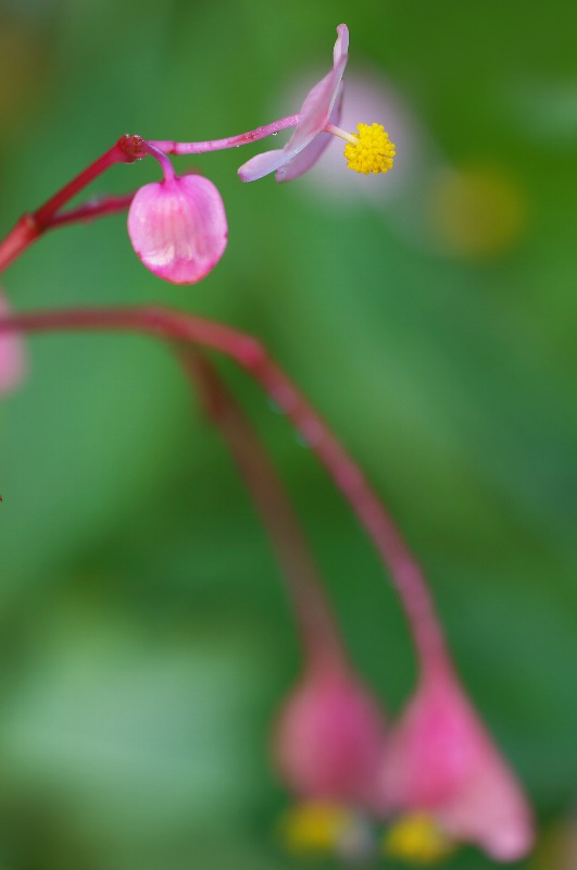 难得一见的极品美景 - 风的模样 - 风的模样的博客