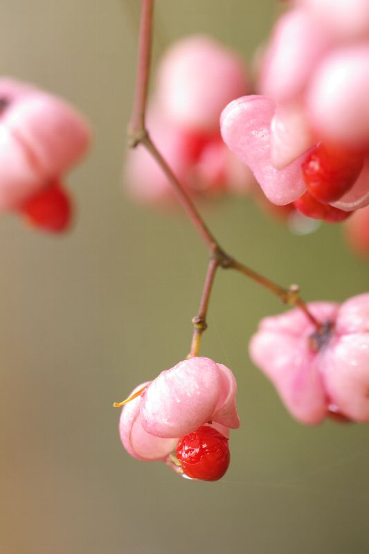 难得一见的极品美景 - 风的模样 - 风的模样的博客