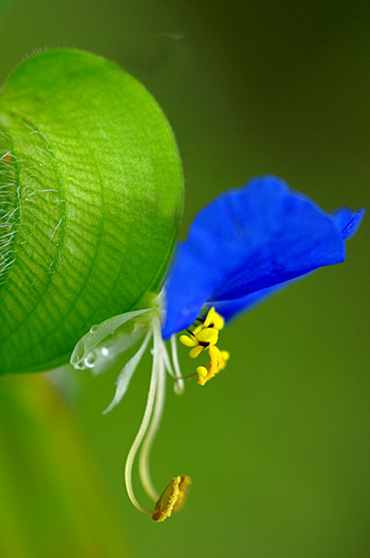 难得一见的极品美景 - 风的模样 - 风的模样的博客