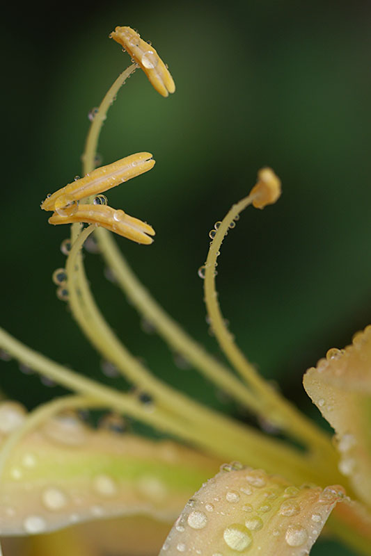 难得一见的极品美景 - 风的模样 - 风的模样的博客