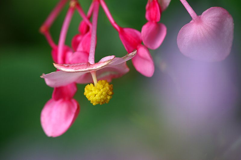 难得一见的极品美景 - 风的模样 - 风的模样的博客
