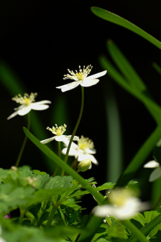 难得一见的极品美景 - 风的模样 - 风的模样的博客