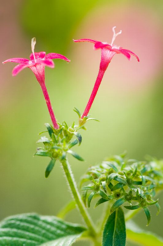 难得一见的极品美景 - 风的模样 - 风的模样的博客