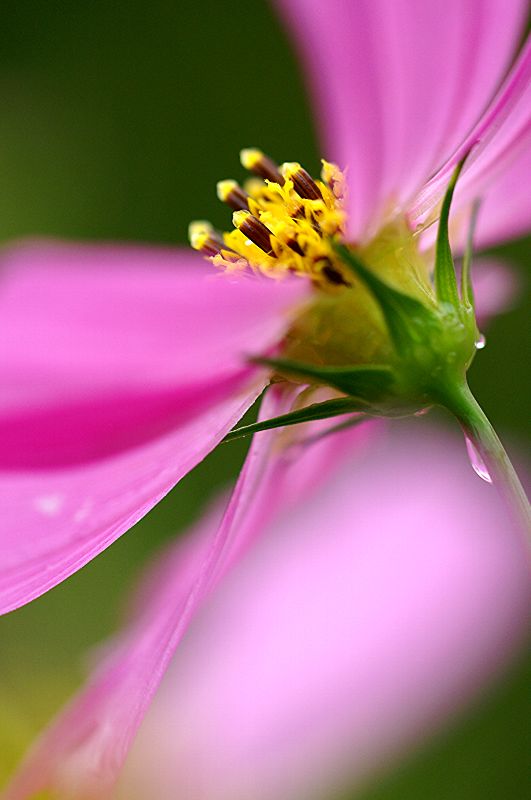 难得一见的极品美景 - 风的模样 - 风的模样的博客