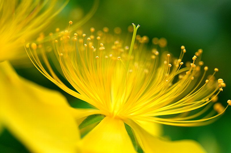 难得一见的极品美景 - 风的模样 - 风的模样的博客