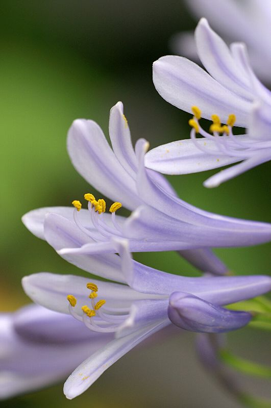 难得一见的极品美景 - 风的模样 - 风的模样的博客