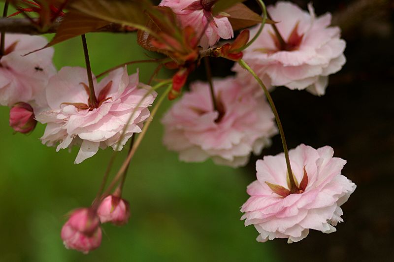 难得一见的极品美景 - 风的模样 - 风的模样的博客