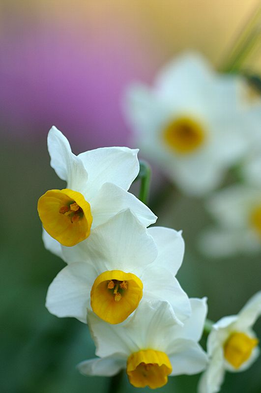 难得一见的极品美景 - 风的模样 - 风的模样的博客