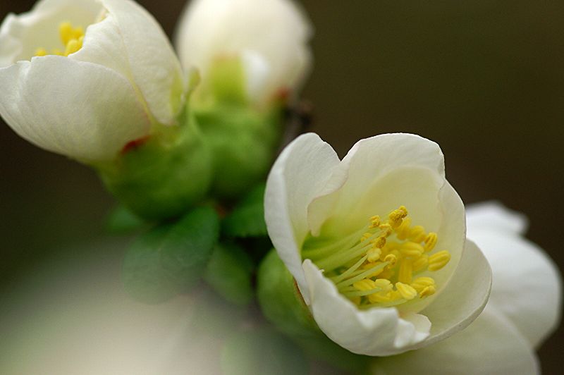 难得一见的极品美景 - 风的模样 - 风的模样的博客