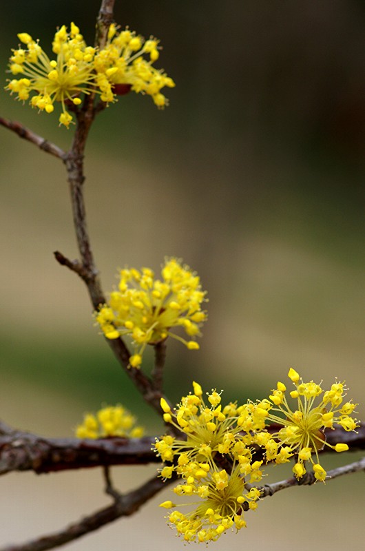 难得一见的极品美景 - 风的模样 - 风的模样的博客