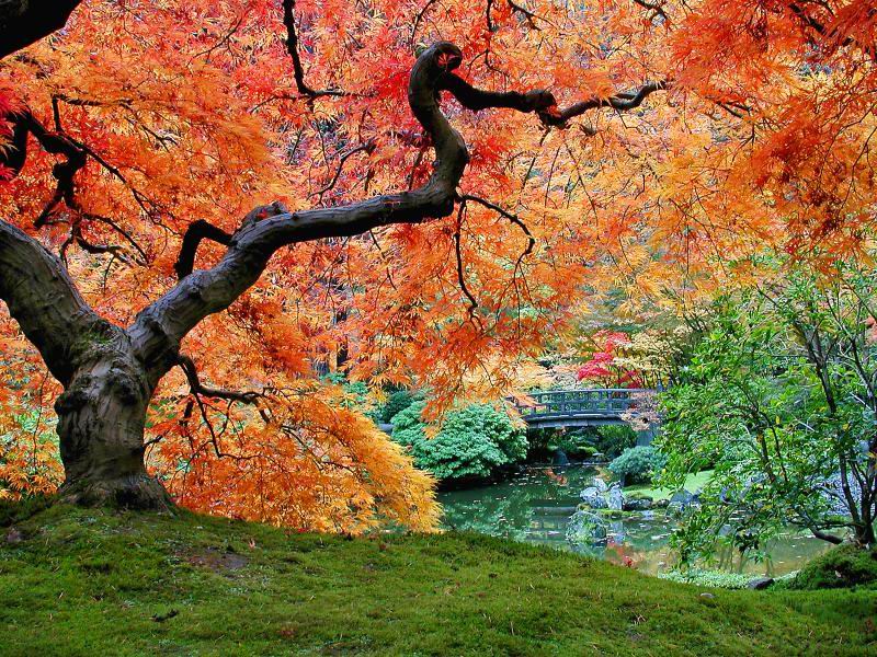 色迷人人自迷 - 风的模样 - 风的模样的博客