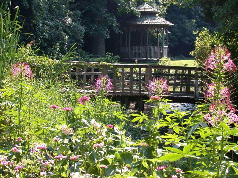 色迷人人自迷 - 风的模样 - 风的模样的博客