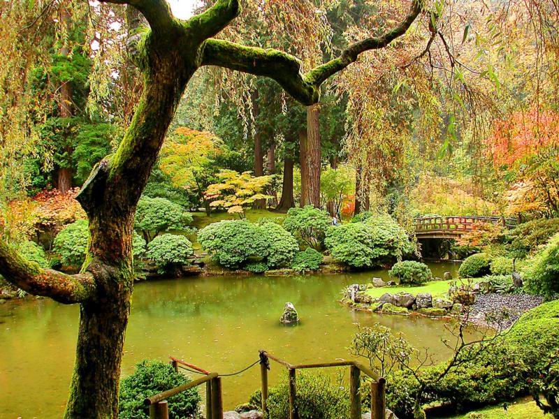 色迷人人自迷 - 风的模样 - 风的模样的博客