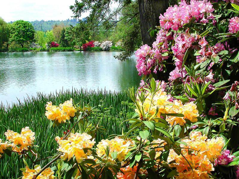 色迷人人自迷 - 风的模样 - 风的模样的博客